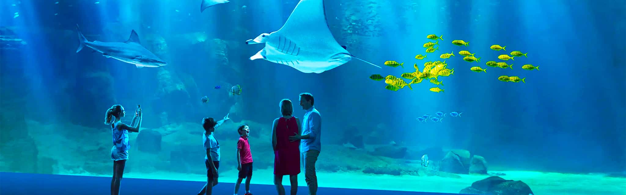 Boulogne-sur-Mer inclusief Nausicaá Aquarium Ticket