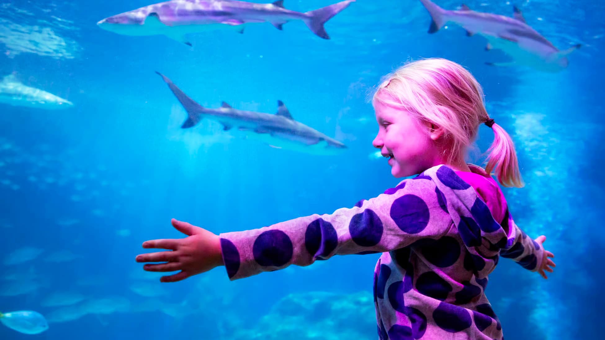 Oberhausen met SEA LIFE Aquarium incl. Hotel foto 2