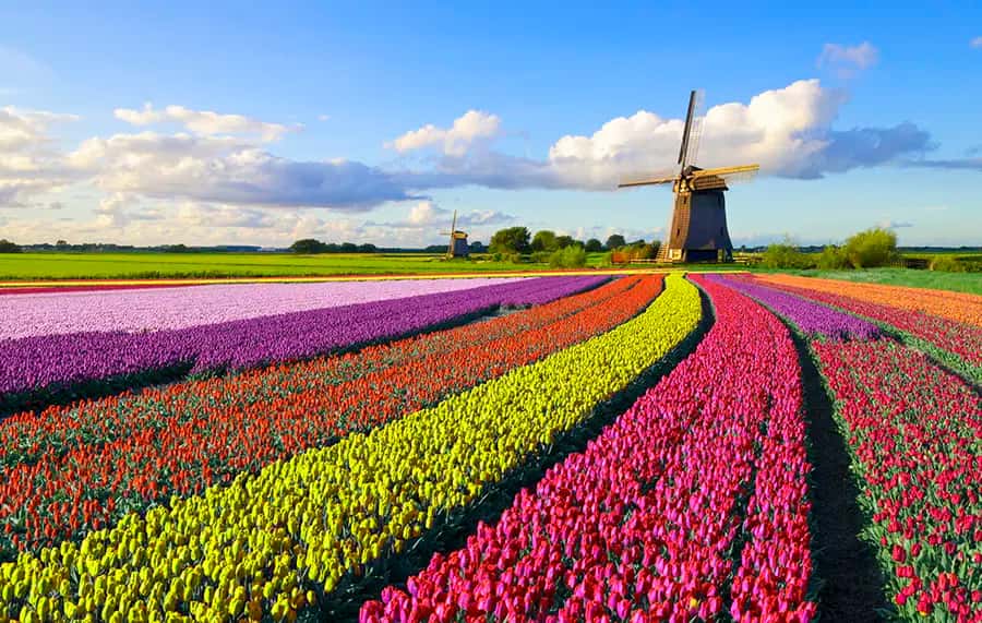 Nederland